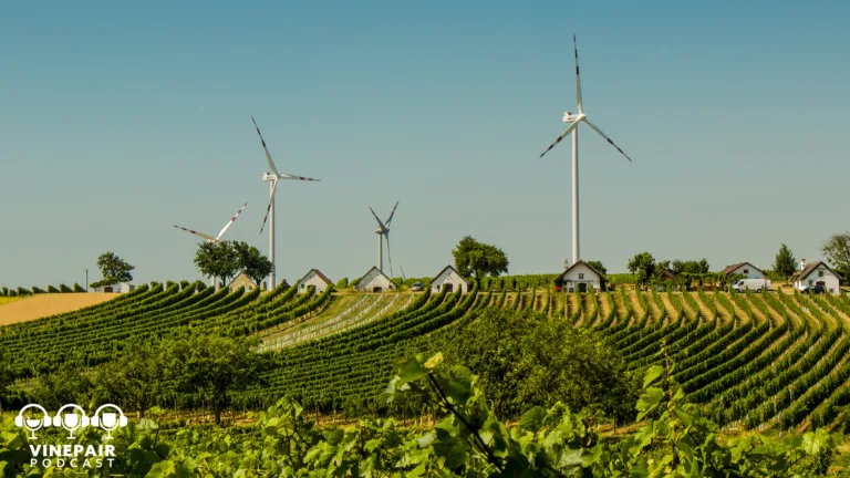 The VinePair Podcast: Why Do We Care About Sustainability in Wine, and Not in Spirits?