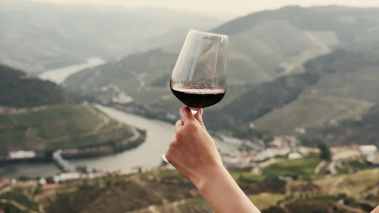 We Asked 17 Wine Pros: Which Wine Region Offers the Best Bang For Your Buck?