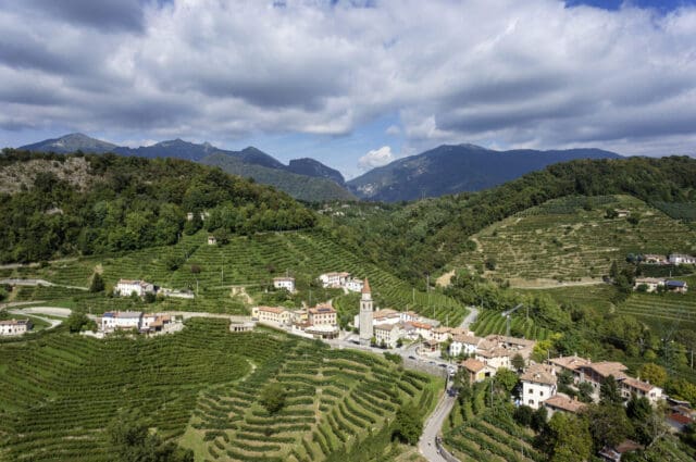 Tour of the Rive and Experience Room Andreola Invites You to Discover the Charm of the Heroic Viticulture in the Heart of Valdobbiadene DOCG