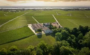 Château Grand-Puy-Lacoste and Lacoste Borie – Sharing variations on a vinous theme