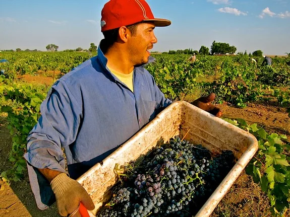 Winemakers and journalists taste and talk about aged Lodi wines, up to 27 years old