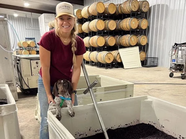 Revisiting Driftwood Estate Winery with Winemaker Jackie van Sant Downes