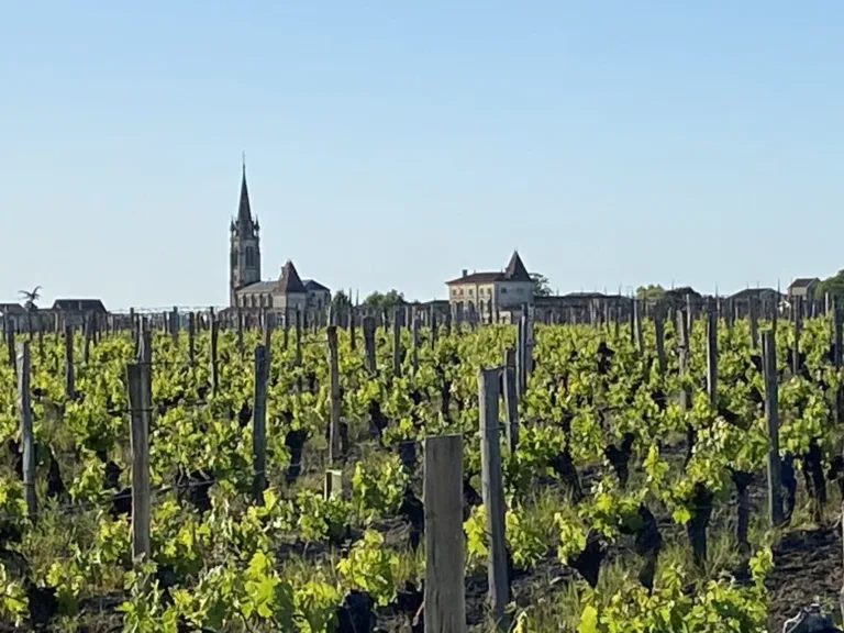 Pomerol 2023 en primeur: spectacular top end wines amid a complex vintage