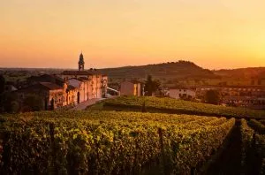 Soave: Exploring the diversity of terroir