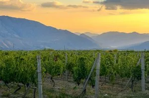 Armenia: A wine lover&#8217;s guide