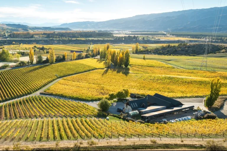 Top Wineries of New Zealand 2024: 1 to 5