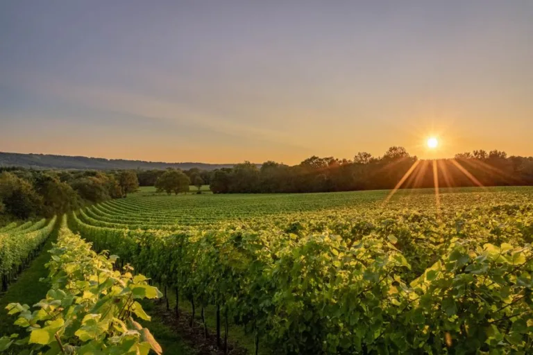 Climate to change the wine landscape