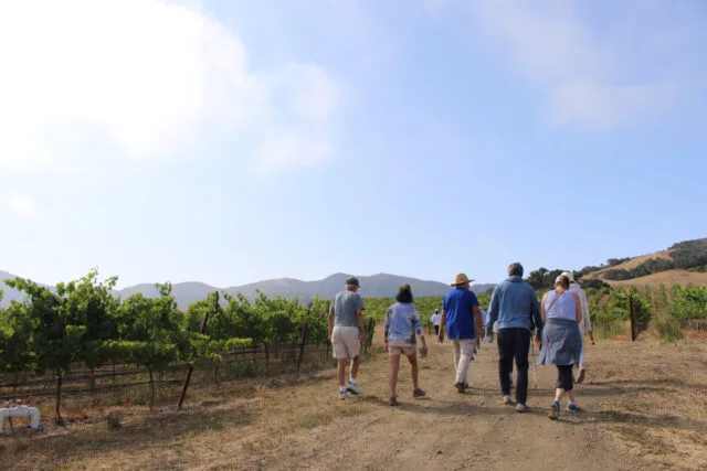 Santa Barbara County’s Alma Rosa Winery Expands with Its Fifth Annual Peace of Mind Fundraising Walk and Luncheon on Saturday, May 18, 2024