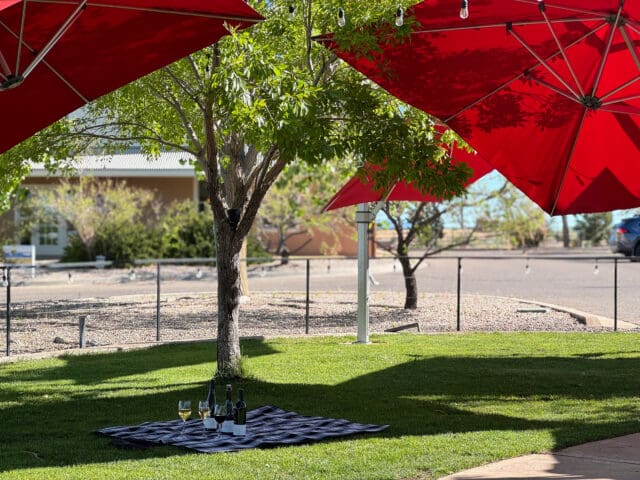 VARA Winery and Distillery’s Balloon Fiesta Park Tasting Room Opens Lawn in Time for Summer Sipping