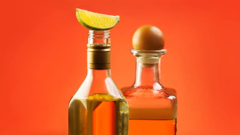 We Asked 12 Bartenders: Which Tequila Offers the Best Bang for Your Buck? (2024)