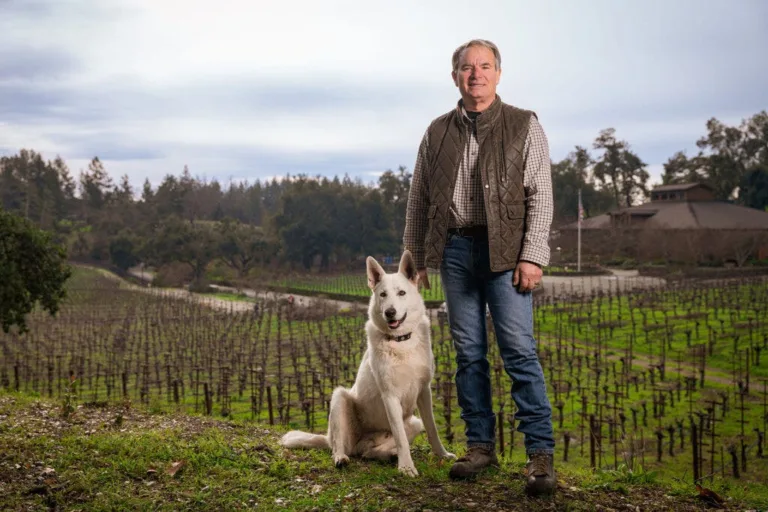 This Winemaker’s Trellis Innovation Sequesters Carbon—and Produces Twice the Amount of Grapes