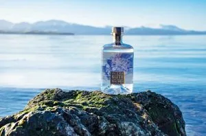 Coastal gin: Soak up some seaside spirit