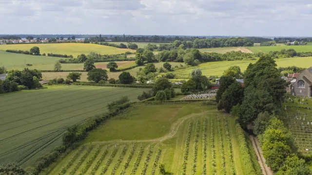 English still wine has the potential to rival sparkling