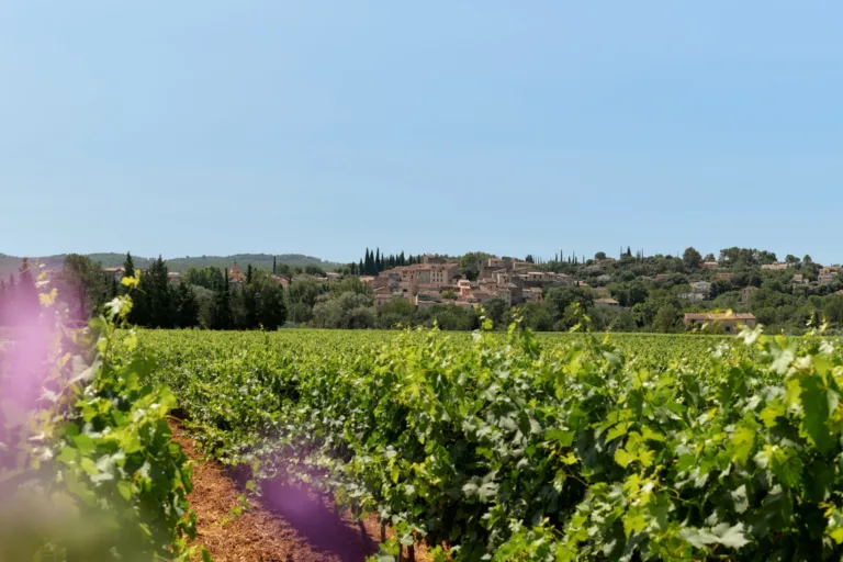 How Provence Crafts the Best Rosés in the World