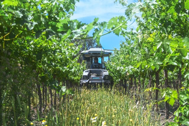 Ancient Peaks Launches Driver-Optional Electric Tractors At Margarita Vineyard