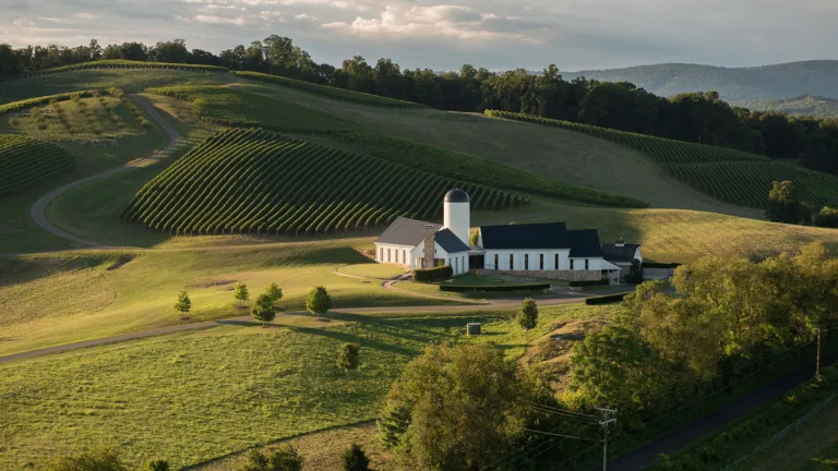 Famed Bordeaux Estate Bets Big on Virginia Wine With RdV Vineyards Acquisition