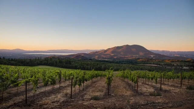 Lake County Winegrowers to Participate in International Volcanic Wines Conference in New York