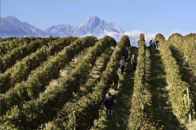 The Wines of Abruzzo are “Superiori” The Revolution of the Abruzzo Model Begins Among Subzones and Mentions, Abruzzo Puts Quality First