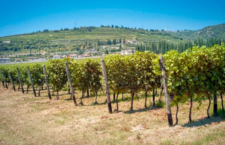 Northern Italy Tasting Rooms