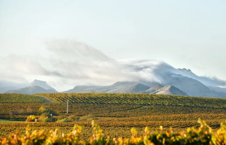 California Tasting Rooms