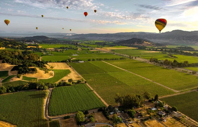 Napa Tasting Rooms