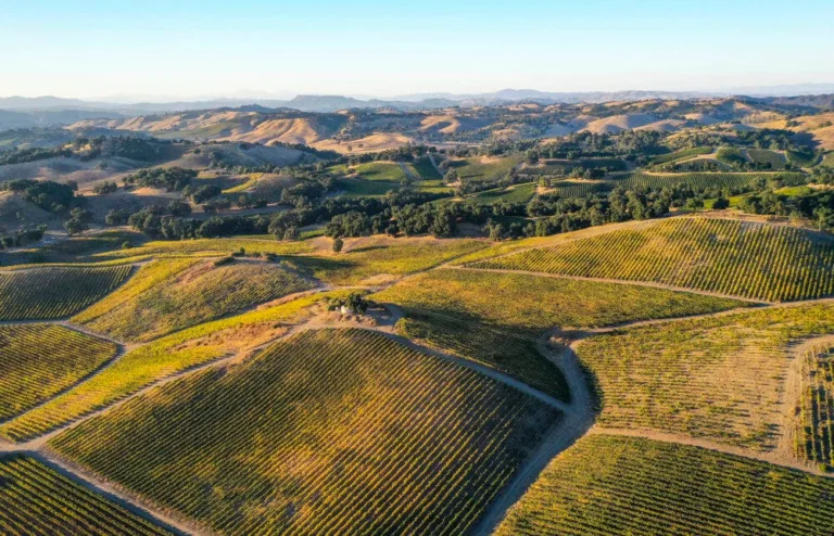 Paso Robles Tasting Rooms