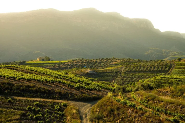 Priorat