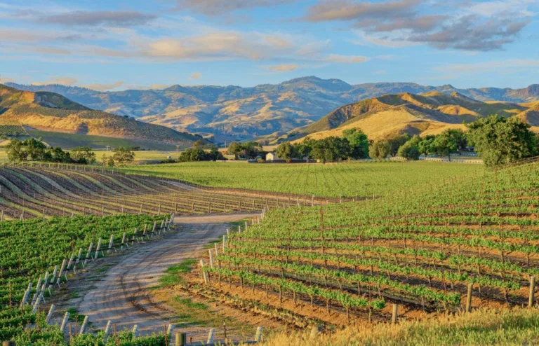 Santa Barbara Tasting Rooms