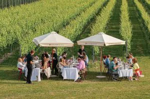 Sussex wine tour: Your five-day itinerary