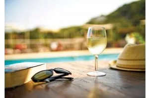 Wine books: Pour yourself a good read for summer