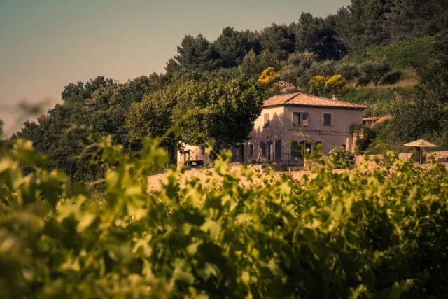 In White as in Red, Domaine Santa Duc Unveils the New Vintage of Its Clos in Gigondas:  Le Clos Des Hospices