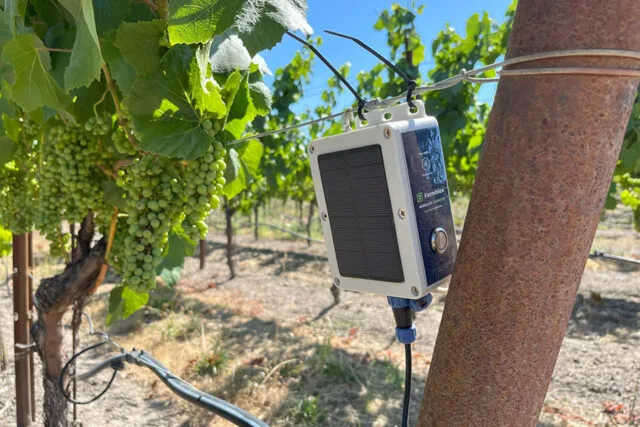 Farmblox Raises $2.5m Seed Round to Bring AI/Automation to Vineyards