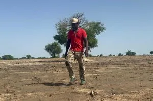 The first vines taking root in Burkina Faso