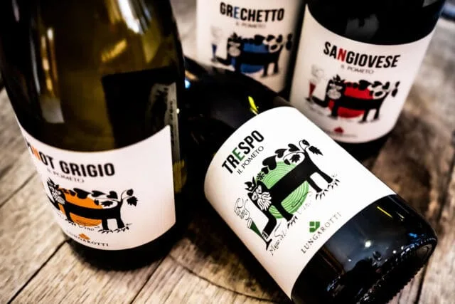 Four Fresh Monovarietal Wines With a New Graphic Label By Polish Artist Andrzej Kot