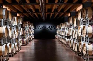 Pasqua Wines – Trailblazing wines in dialogue with art