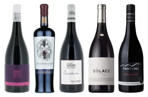 International Shiraz Day: 15 top-awarded wines to explore