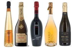 International Cava Day: 15 award-winning wines to try