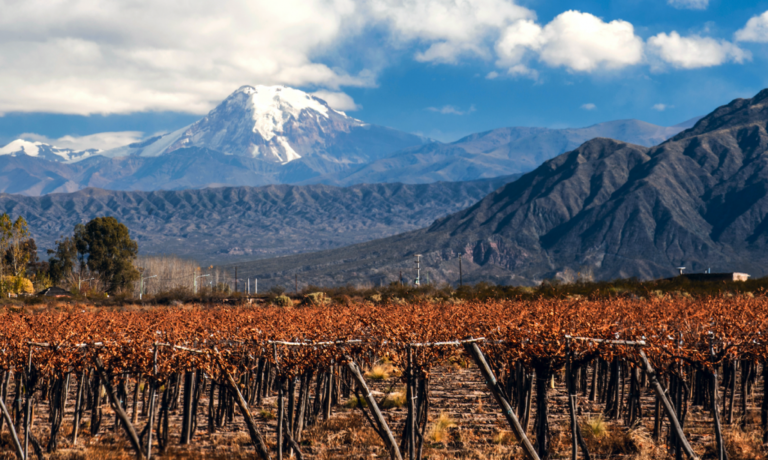 Hors Bordeaux tasting notes: Chile and Argentina