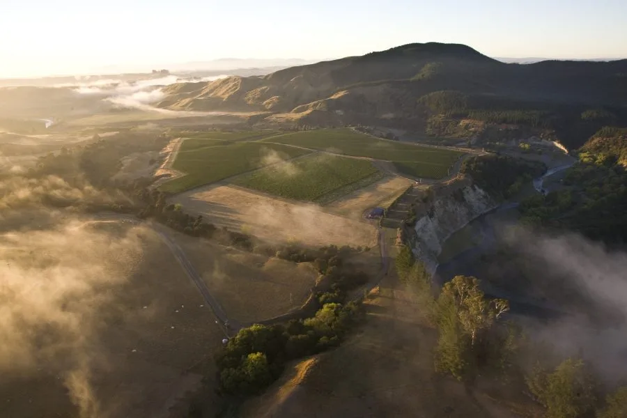 , New Zealand 2024 harvest slashed