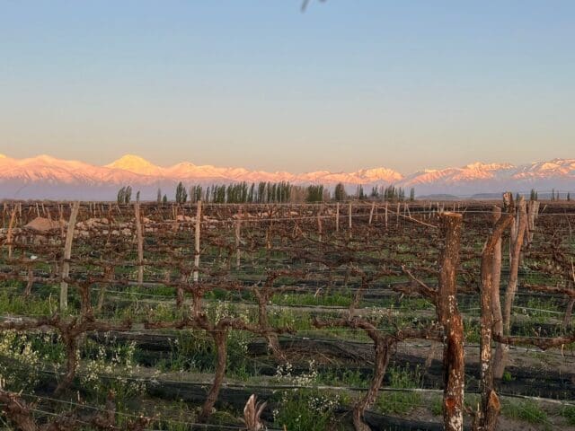 3SAPAS, a Young and Sustainable Winery Located in the Uco Valley, Argentina’s Foremost Wine Region, Is Now Available in the US