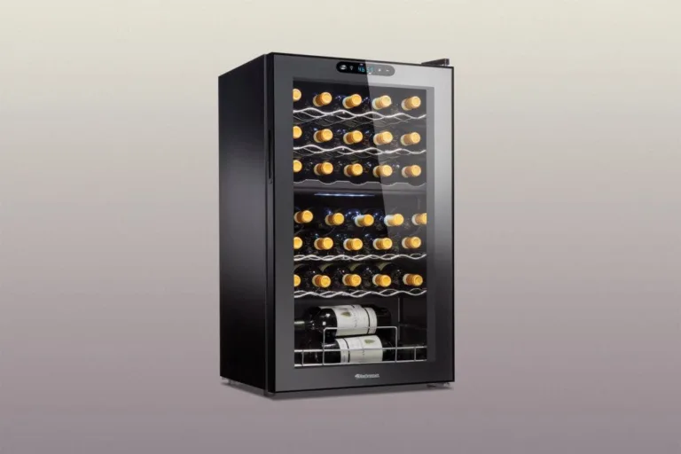 Why Do Wine Fridges Cost More Than a Regular Refrigerator?