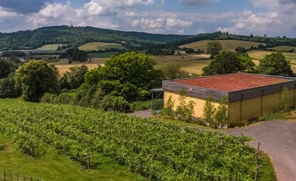 Organic Welsh vineyard goes on sale for £3.4 million