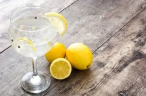 Best summer gin: 15 to try