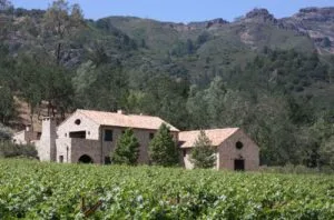 Hundred Acre purchases Kelly Fleming Wines in Napa Valley