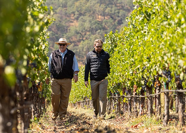 Baldacci Family Vineyards Earns California Certified Organic Farmers Certification