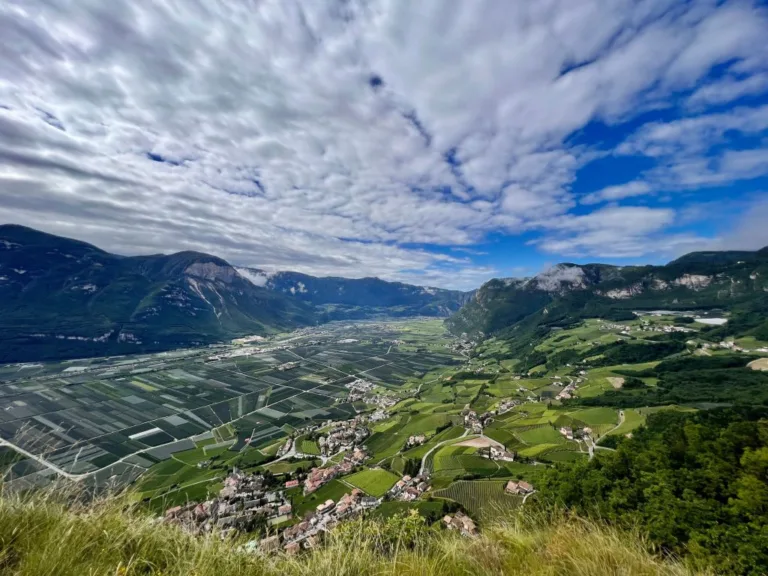 Journey Through Italy’s Alpine Wine Region in Biscayne Times