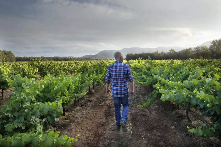 Wine Classification of Australia new entrants