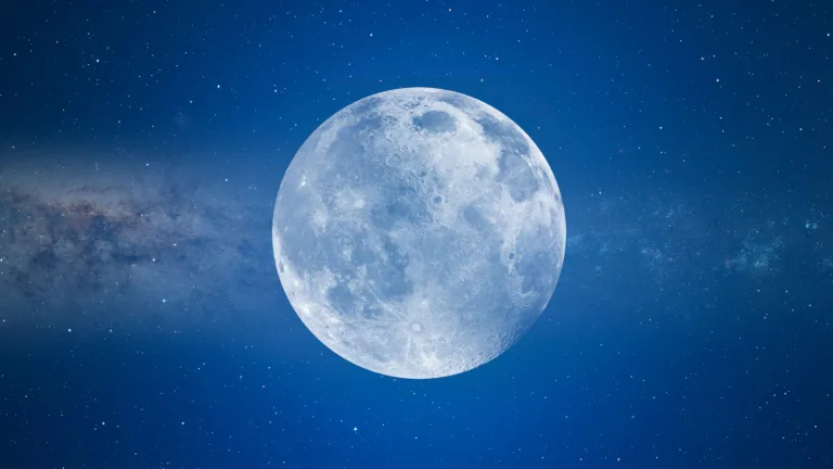 Do Bar Guests Act Crazier During a Full Moon?