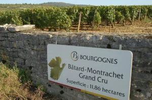 , Hundreds of Burgundy wine appellation signs to be auctioned