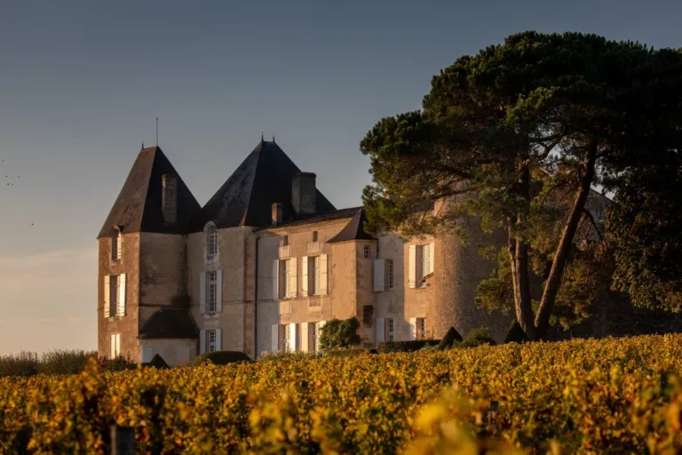 Chateau Yquem to release ‘hothouse’ Y 2022 and unveils historic release from its cellars